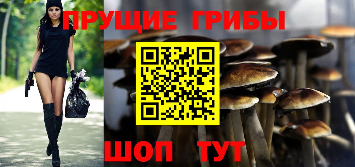 Псилоцибиновые грибы GOLDEN TEACHER  Вход с VPN  Пушкино 